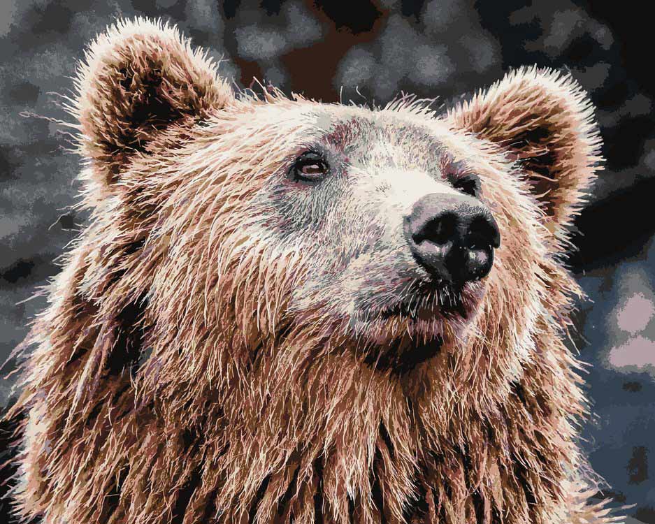 

Картина по номерам Артвентура «Мишка», 02ART40501214, Мишка