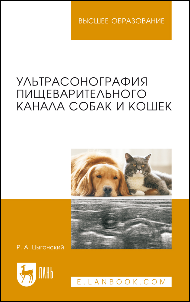 

Ультрасонография пищеварительного канала собак и кошек