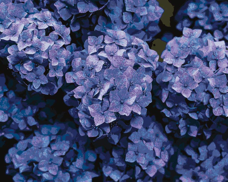 

Картина по номерам Артвентура «Нежные фиалки», 02ART40501273, Нежные фиалки