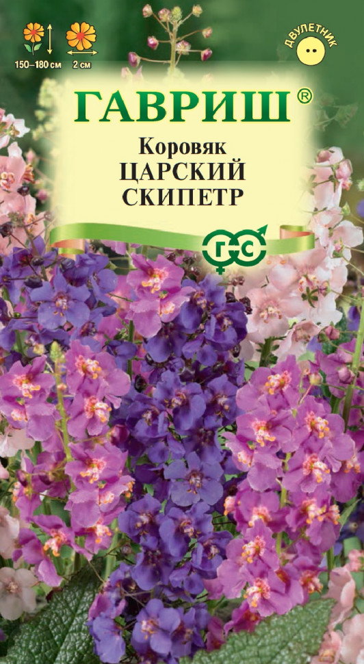 

Семена вербаскум Царский скипетр Гавриш 1071857934-10 1 уп.
