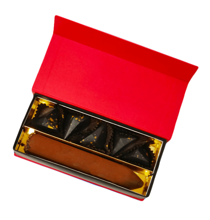 Подарочный набор конфет VioChoco Шоколадная сигара Мускадин и конфеты Гран Марнье, 170гр