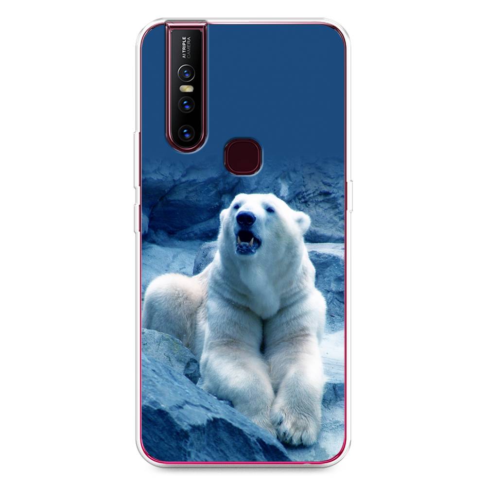 

Чехол для Vivo V15 "Белый медведь", Голубой;белый, 261050-1