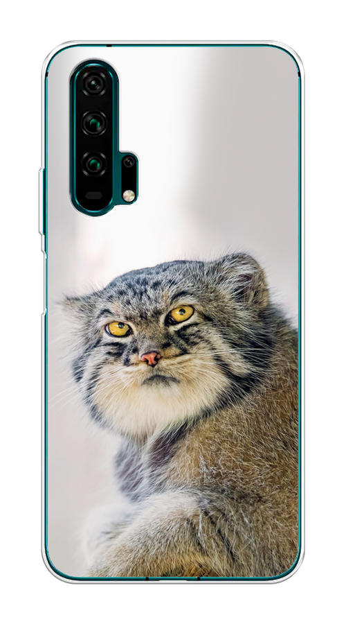 

Чехол на Honor 20 Pro "Кот манул 1", Серый;белый;желтый, 69350-1