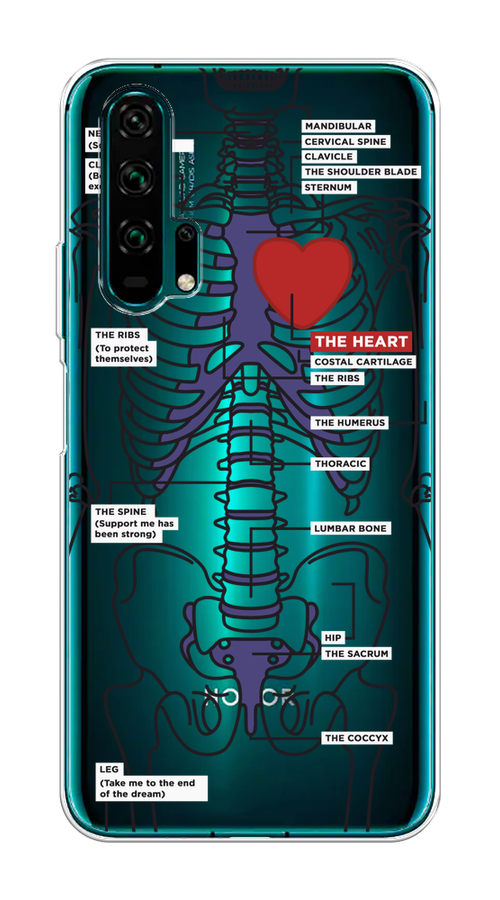 

Чехол на Honor 20 Pro "Скелет человека", Прозрачный;синий;красный, 69350-1
