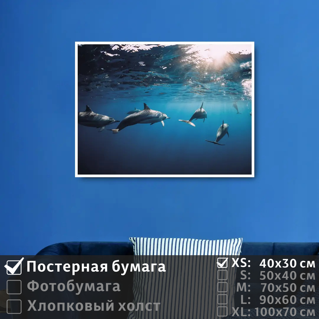 

Постер на стену ПолиЦентр Дельфины под водой плывут к солнечным лучам 40х30 см, ДельфиныПодВодойПлывутКСолнечнымЛучам