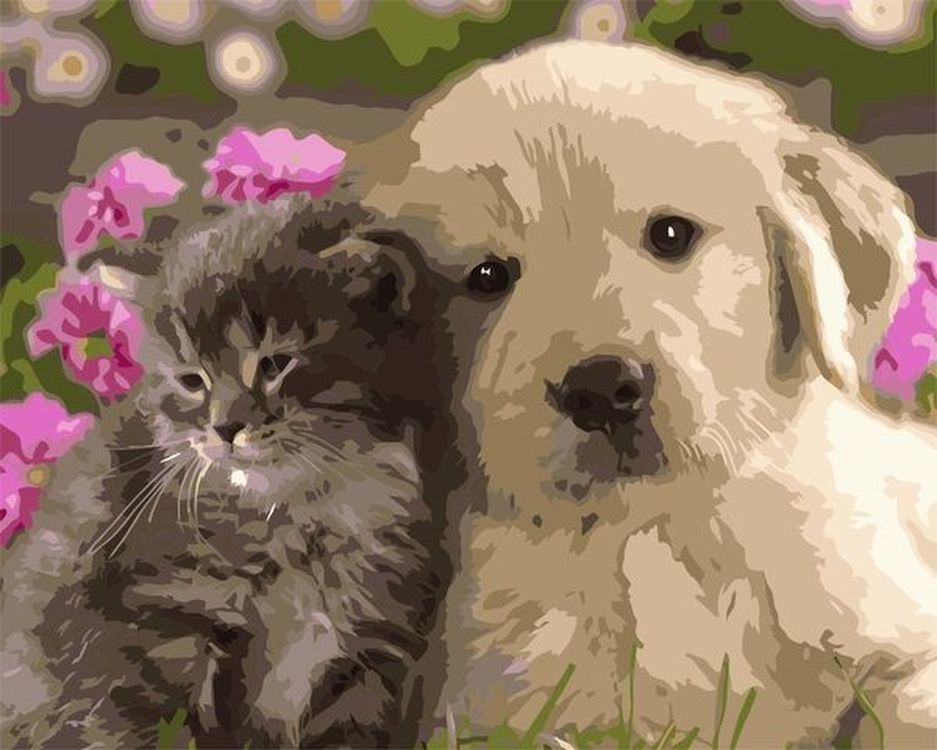 

Картина по номерам Paintboy (Premium) «Котёнок и щенок», VA-0571, Котёнок и щенок