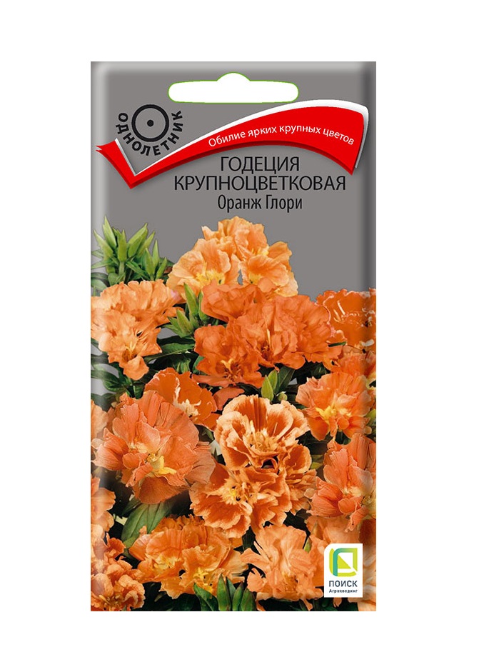 

Годеция крупноцв. Оранж Глори однол. 0,2гр. (Поиск)