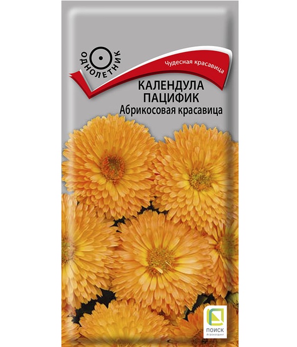 

Семена календула Абрикосовая красавица Поиск 2180 1 уп.