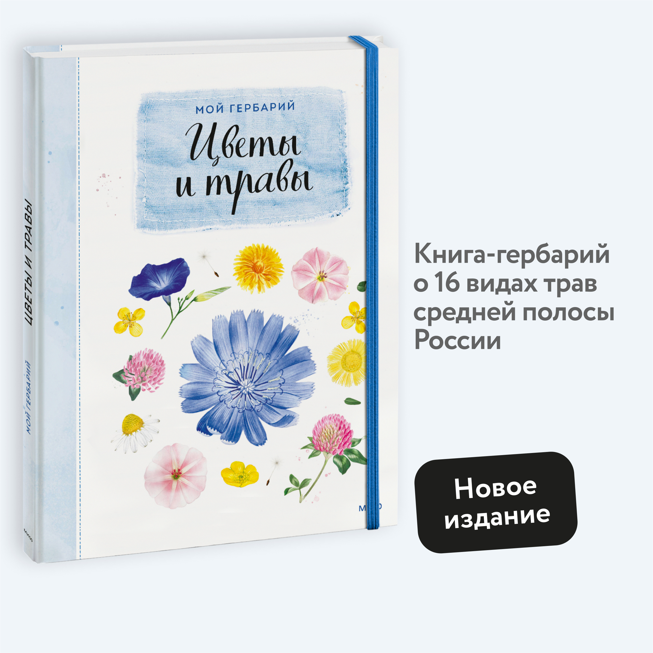 

Мой гербарий Цветы и травы