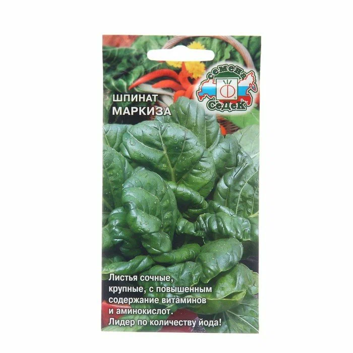 

Шпинат Маркиза (Седек)