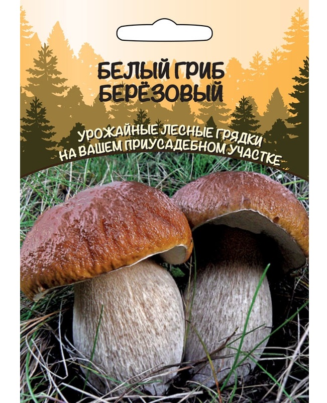 

Грибы Белый гриб Березовый 15г/30мл (Урал. Дачник)