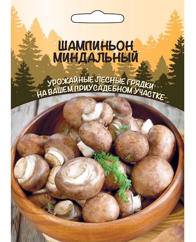 

грибы Шампиньон Миндальный (Урал. Дачник)
