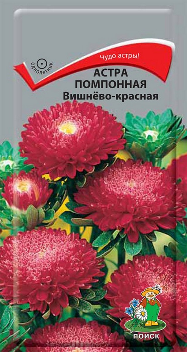 

Семена астра Вишнево-красная Поиск 1865 1 уп.
