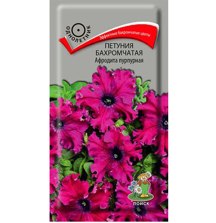 

Петуния Афродита пурпурная бахромч. 10шт. (Поиск)