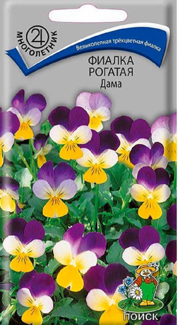 

Фиалка рогатая Дама многол. 0,1гр (Поиск)
