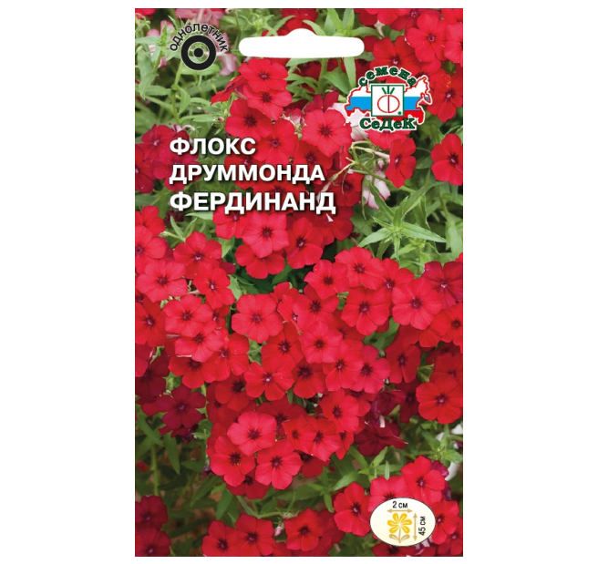 

Флокс Друммонда Фердинанд крупноцветковый, красный 0,2г. (Седек)