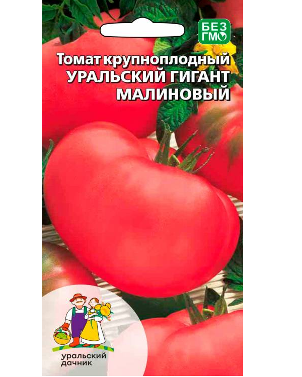 

Томат Уральский ги гант малиновый (Урал. Дачник)