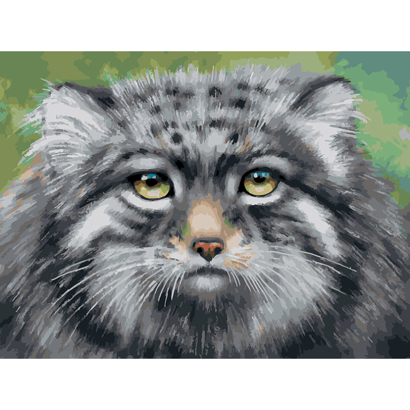 

Живопись по номерам Белоснежка Холст 30*40 "Кот Манул" 920-AS, Кот Манул