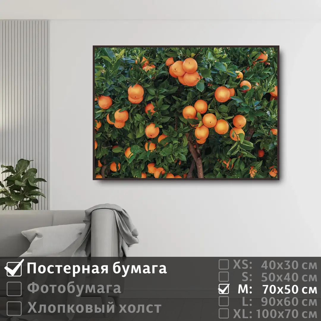 

Постер на стену ПолиЦентр Испанские апельсины 70х50 см, ИспанскиеАпельсины