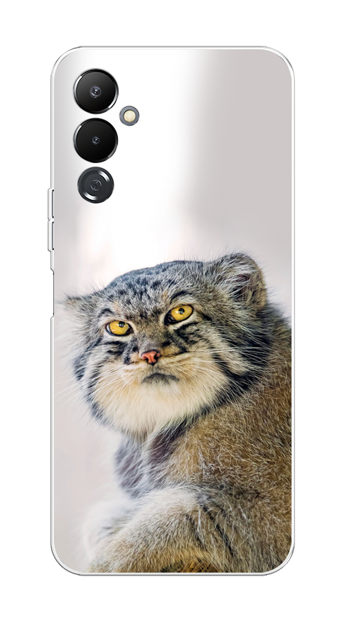 

Чехол на Tecno Pova 4 "Кот манул 1", Серый;белый;желтый, 302550-1
