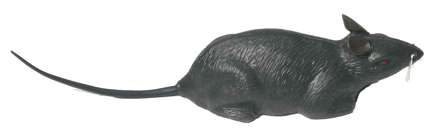 

Крыса Forum Novelties f70357, f70357