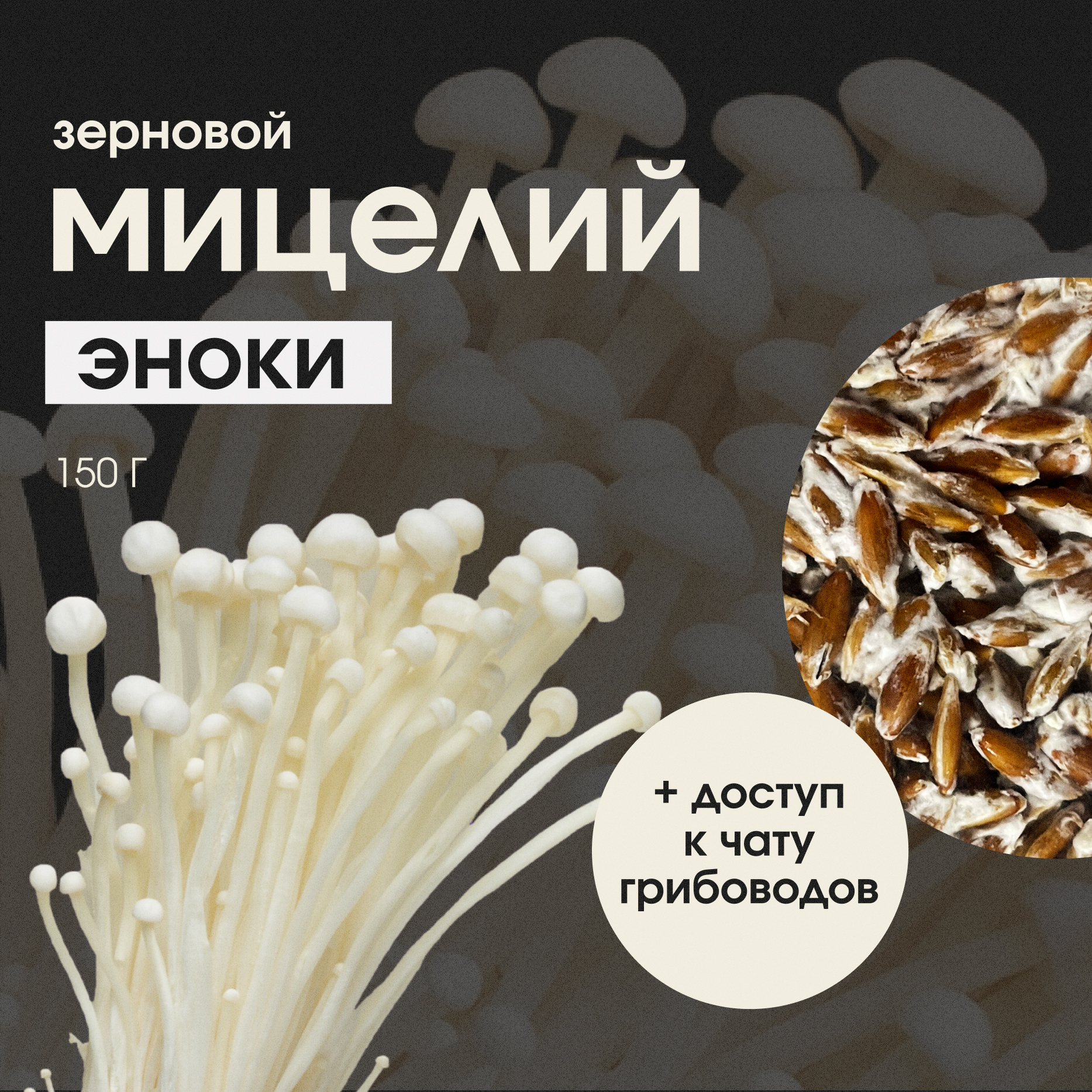 Мицелий грибов Эноки Грибы пошли Grib_enoki