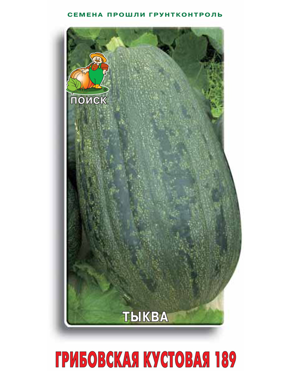 

Тыква Кустовая Грибовская 189 10шт. (Поиск)