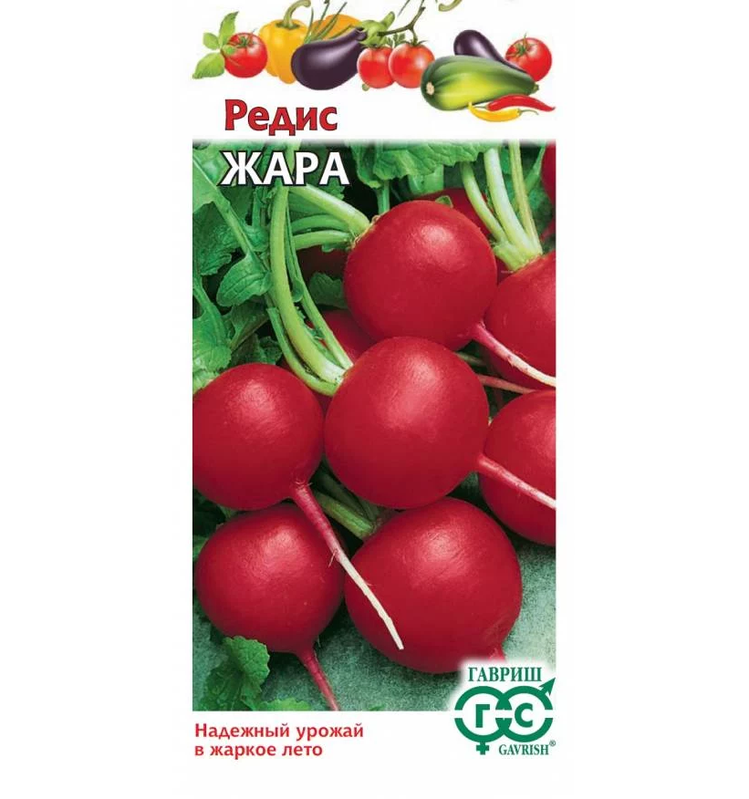 

Редис Жара 3гр. (Гавриш)