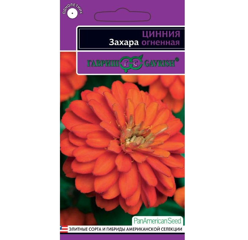 

Цинния Захара огненная 6шт. (Гавриш)
