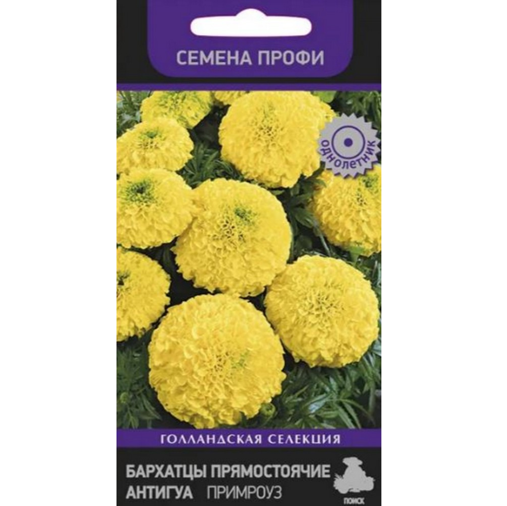 

Бархатцы Антигуа Примроуз прям. (Семена Профи) 15шт. (Поиск)