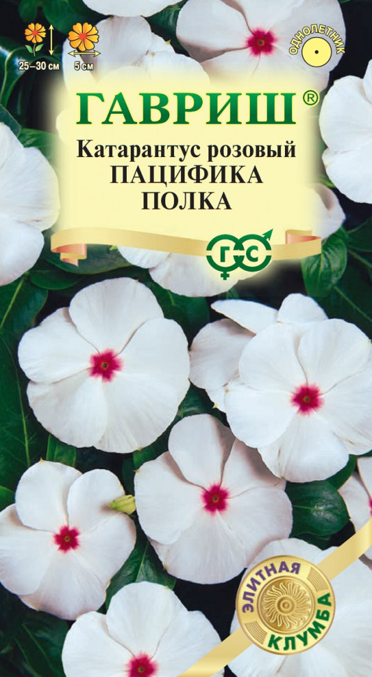 

Семена катарантус Пацифика Полка Гавриш 1071858767-10 1 уп.