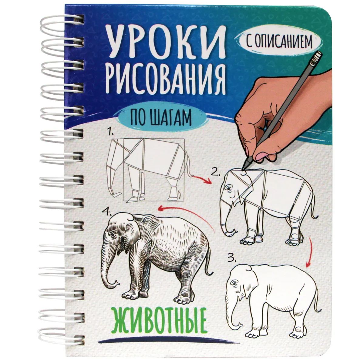 Скетчбук Проф-Пресс Уроки рисования Животные 64-6638