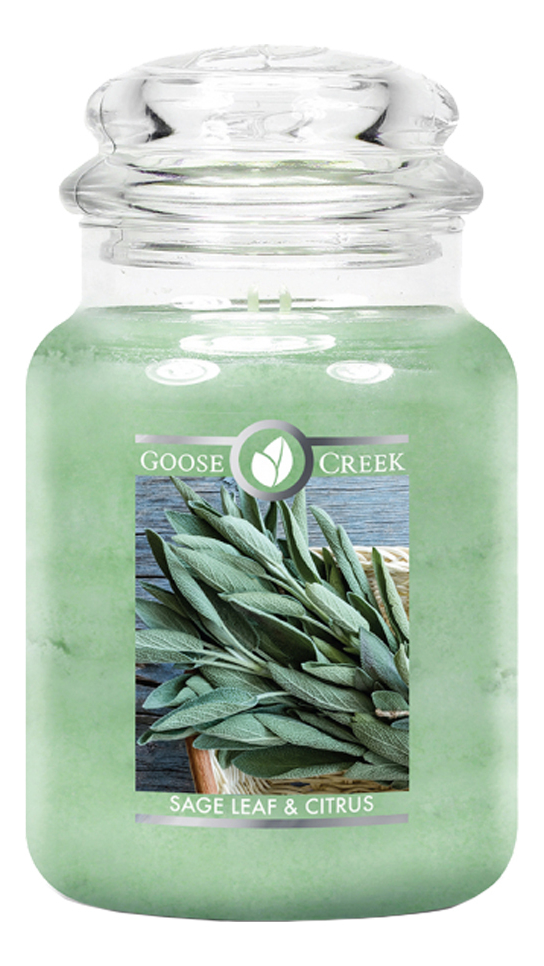 фото Ароматическая свеча goose creek sage leaf and citrus (шалфей и цитрус) свеча 680г