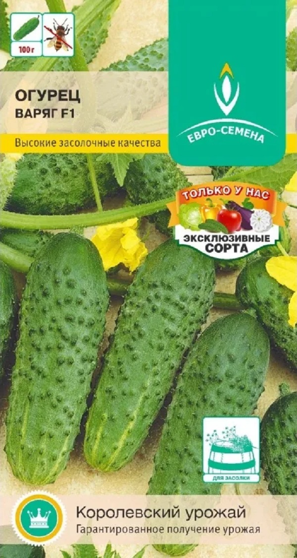 

Семена огурец Варяг F1 Евро-Семена 73365 1 уп.