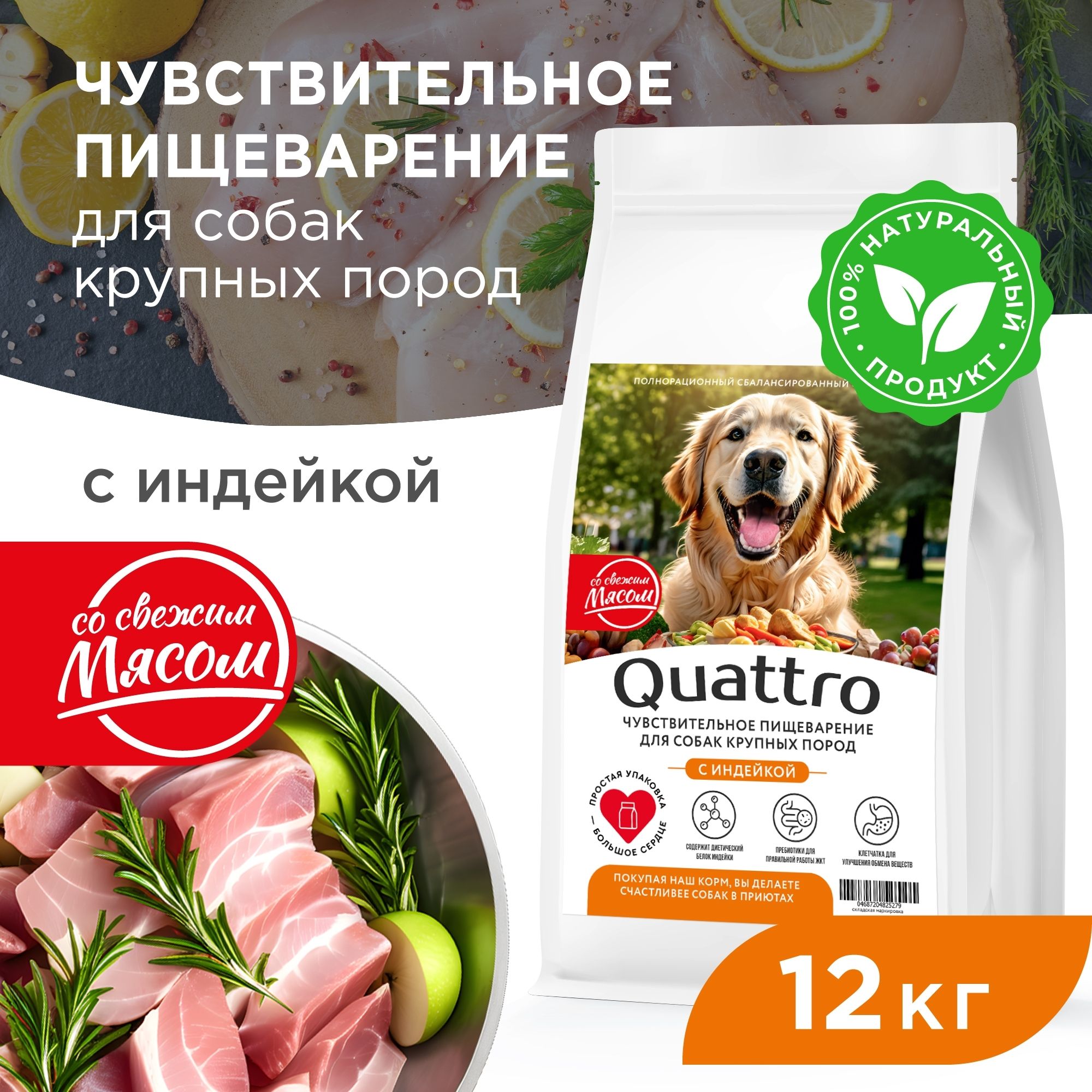 

Сухой корм для собак QUATTRO, Крупные породы премиум, для пищеварения, индейка, 12 кг