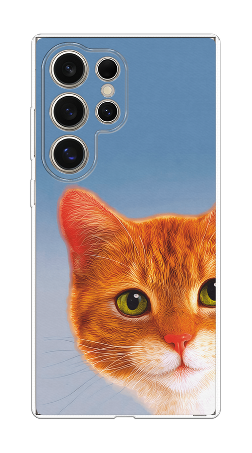 

Чехол на Samsung Galaxy S25 Ultra Любопытный котик, Коричневый, 2110550-1
