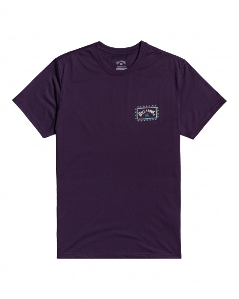 

Футболка мужская Billabong W1SS67-BIP1 фиолетовая S