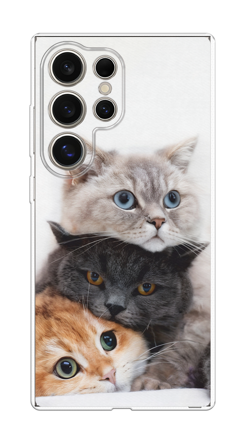 

Чехол на Samsung Galaxy S25 Ultra Пушистые мордашки, Серый;черный;оранжевый, 2110550-1