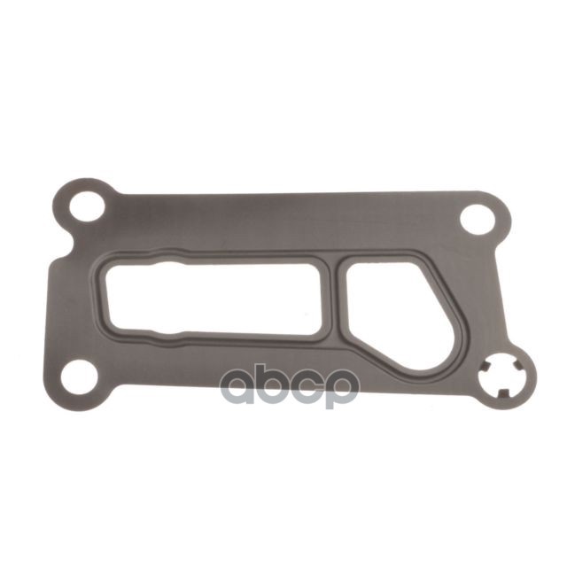 

Прокладка Корпуса Масляного Фильтра Ford 2.0 Duratec-He Ecoboost 04 Ford 1119853 FORD арт.