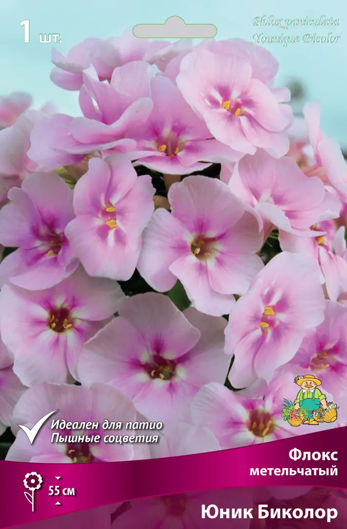 

Семена флокс Юник Биколор SSS-82530309 1 уп.