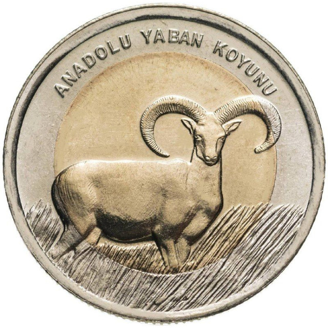 

Монета 1 лира Азиатский муфлон, Турция 2015 UNC