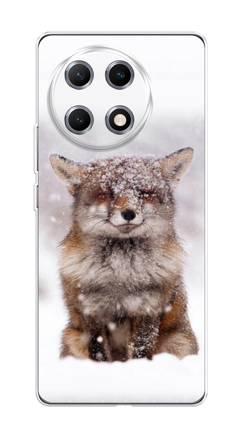 

Чехол на Tecno Camon 30S Зимняя лиса, Белый;серый;коричневый, 309650-1