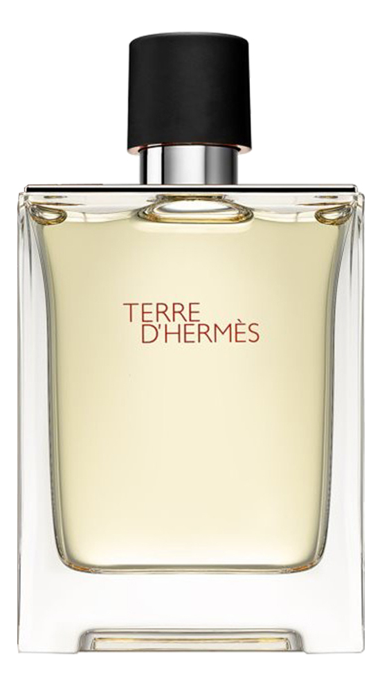 Туалетная вода мужская Hermes Terre D'Hermes Pour Homme 100 мл