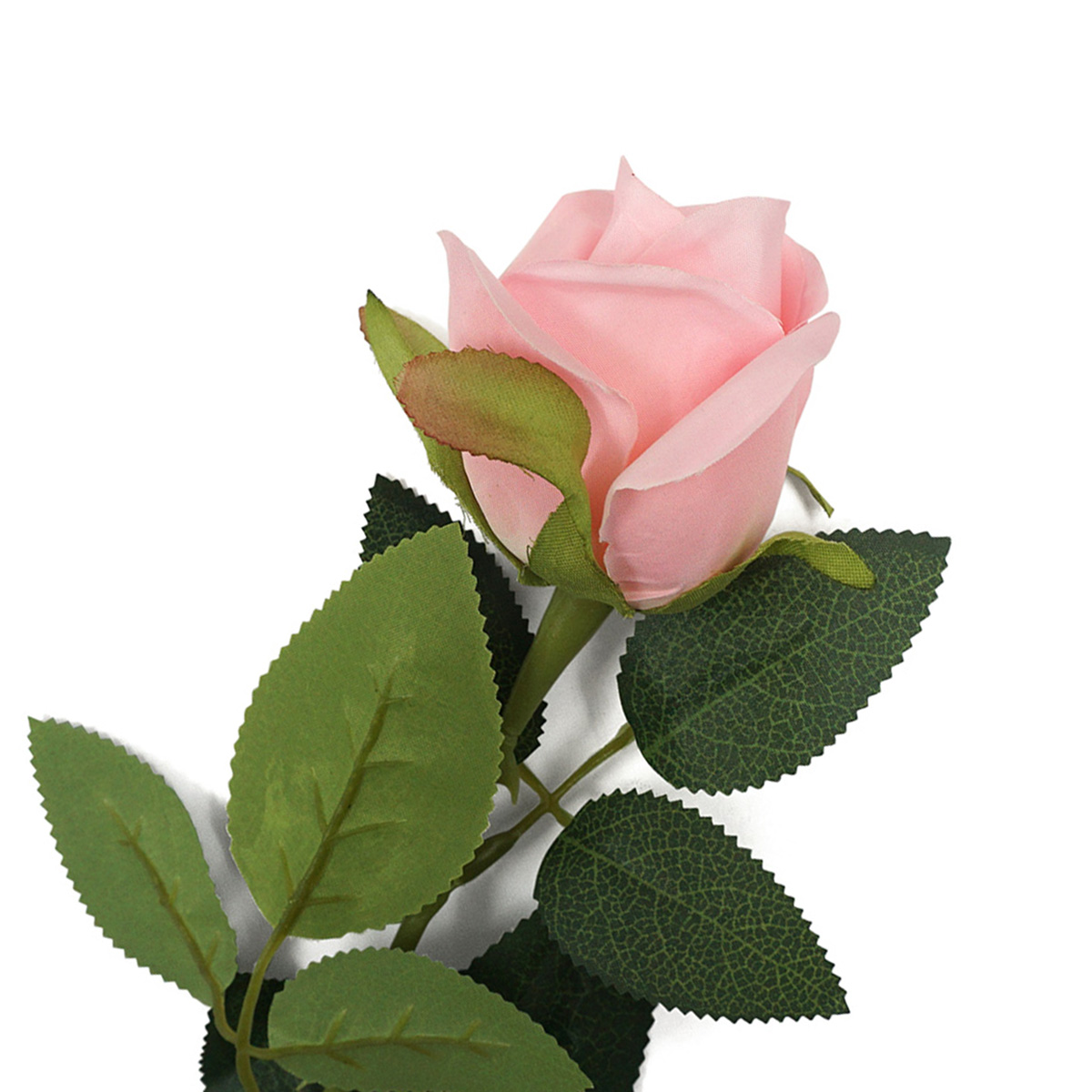 Роза Astra&Craft, 62см, C розовый