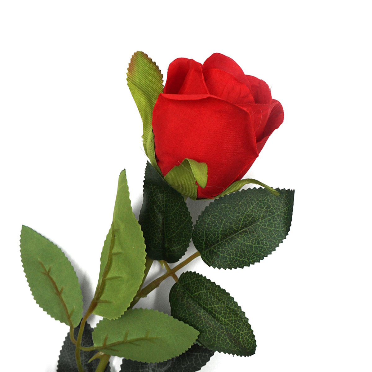 Роза Astra&Craft, 52см, B красный