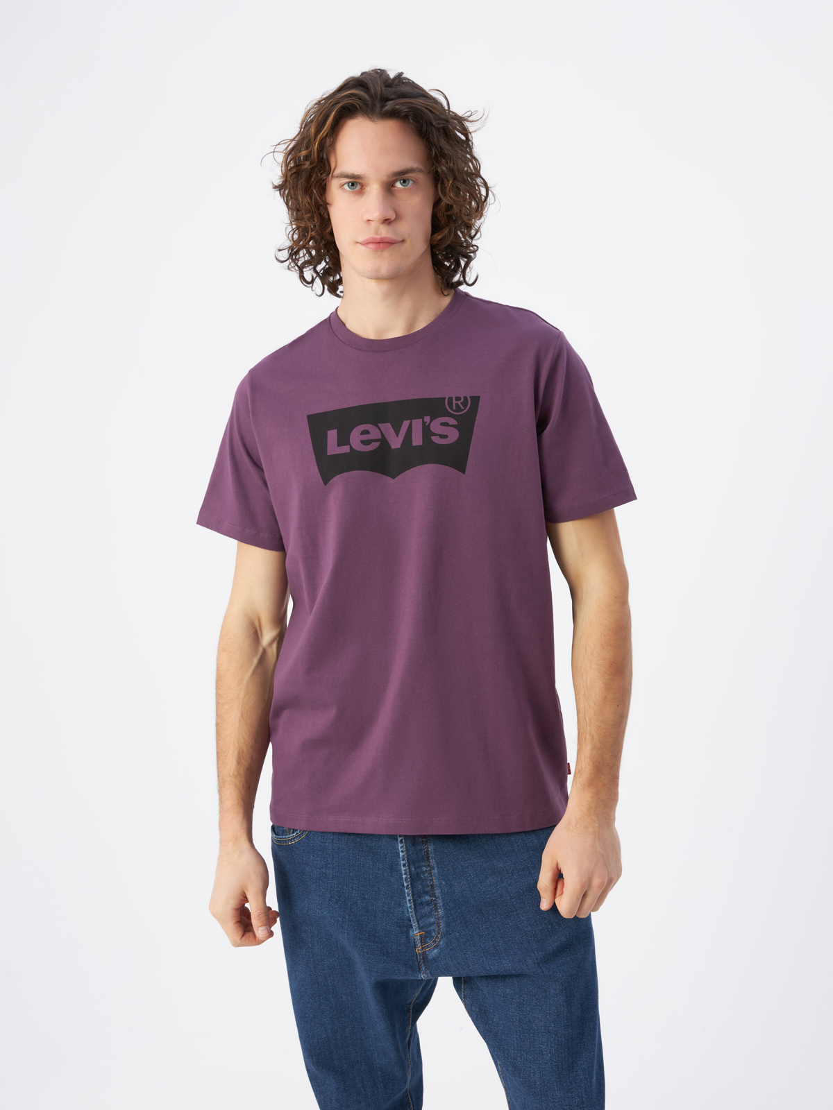 Футболка мужская Levi's 22491-1212 фиолетовая M