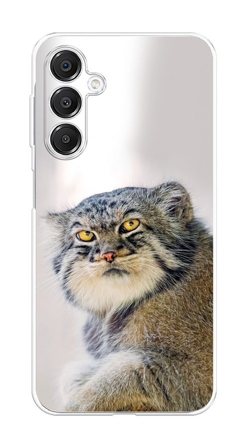 

Чехол на Samsung Galaxy A16 "Кот манул 1", Серый;белый;желтый, 2110250-1