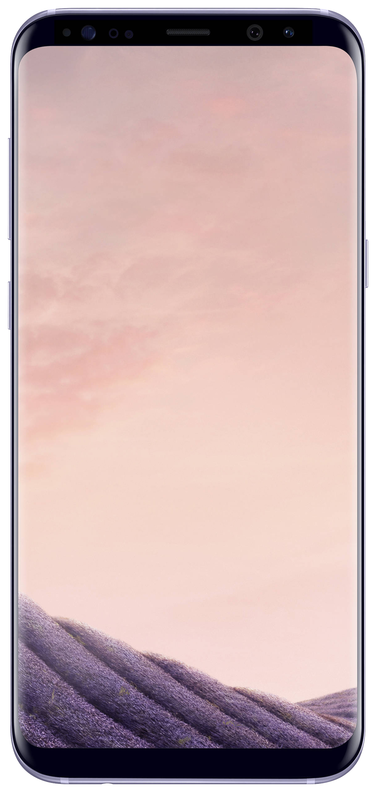 

Смартфон Samsung Galaxy S8+ 4/64GB Violet (SM-G955FZVDSER), Galaxy S8+