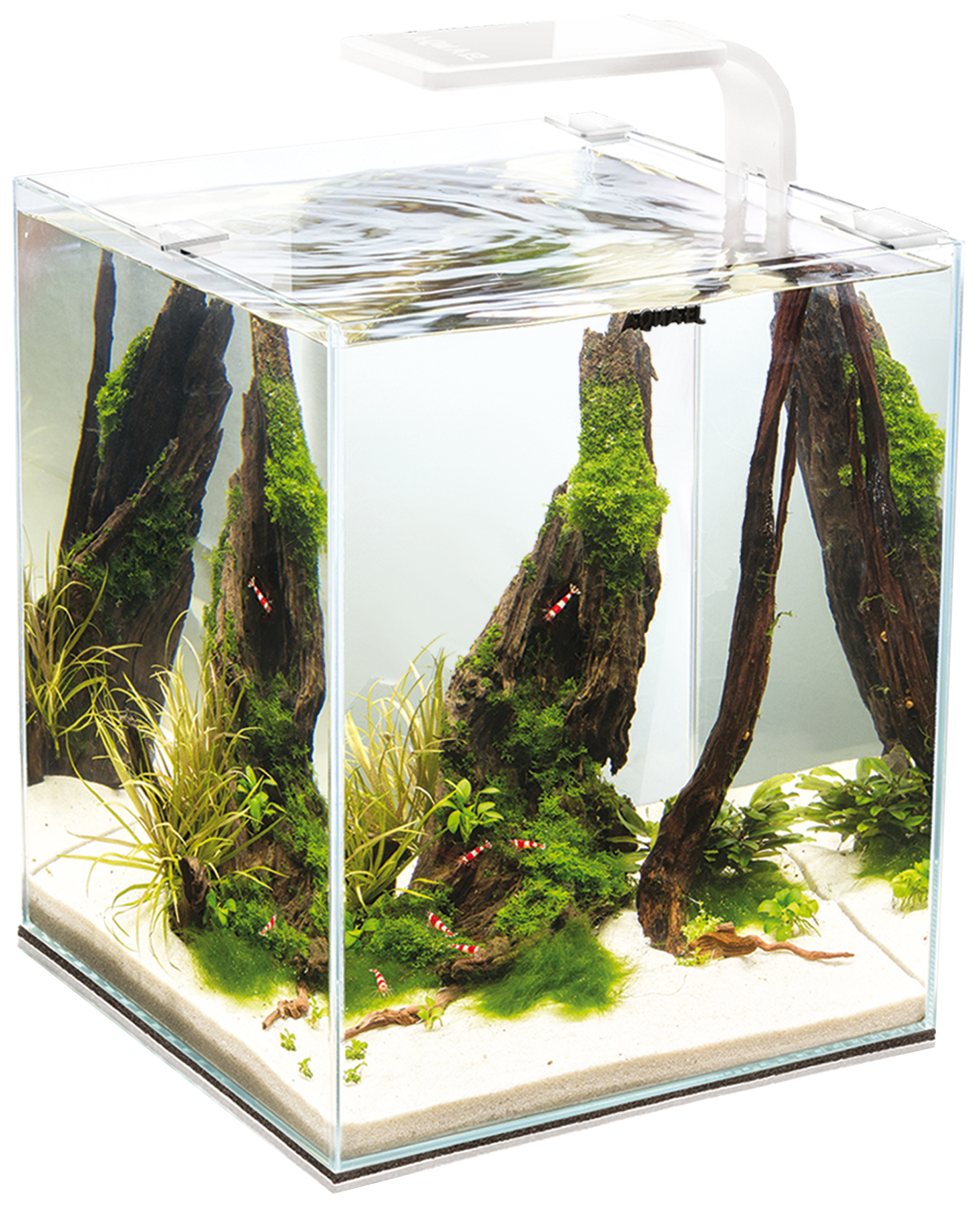 Plant 20. Аквариум Aquael Shrimp Set. Аквариум Aquael Shrimp Set Smart led Plant ll 10 белый (10 л). Aquael Shrimp Set 10. Аквариум Aquael Shrimp Set Smart 30.