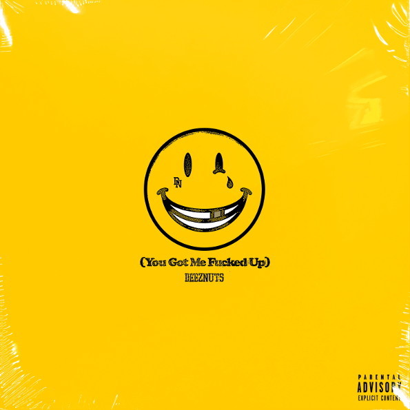 

You Got Me Fucked Up (LP+CD) Deez Nuts